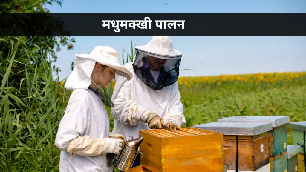 Beekeeping or Apiculture Farming Business Ideas